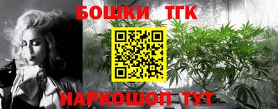 стафф Моздок