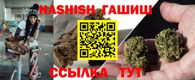 стафф Моздок