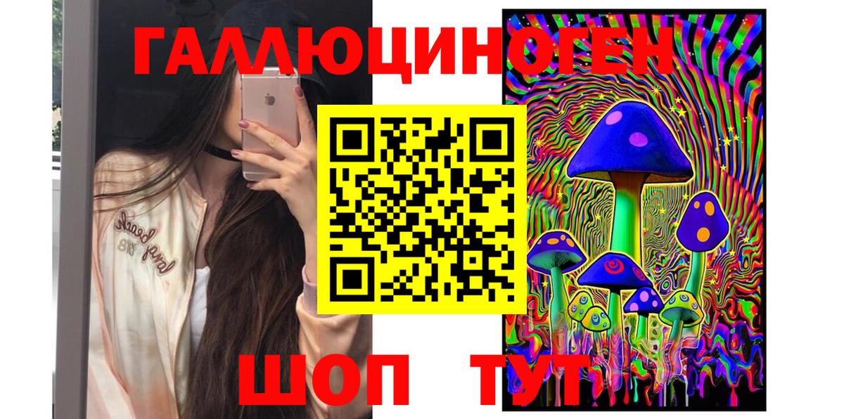 Галлюциногенные грибы прущие грибы  Вход с VPN  Сухой Лог 