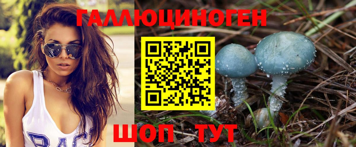 Галлюциногенные грибы Psilocybe Сухой Лог